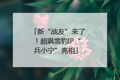 新“战友”来了！超飒雪豹IP“兵小宁”亮相