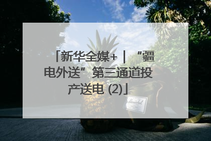 新华全媒+｜“疆电外送”第三通道投产送电 (2)