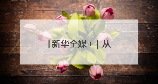 新华全媒+｜从上市公司一季报“含新量”看中国经济发展向“新”