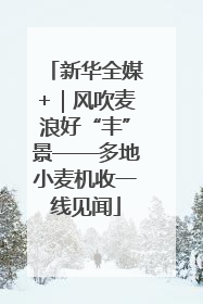 新华全媒+｜风吹麦浪好“丰”景——多地小麦机收一线见闻