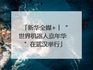 新华全媒+丨“世界机器人嘉年华”在武汉举行