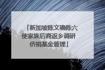 新加坡陈文确陈六使家族后裔返乡调研侨捐基金管理