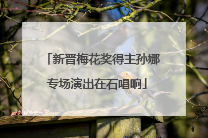 新晋梅花奖得主孙娜专场演出在石唱响