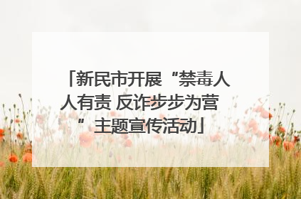 新民市开展“禁毒人人有责 反诈步步为营”主题宣传活动