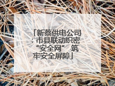 新蔡供电公司：市县联动织密“安全网” 筑牢安全屏障