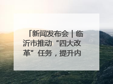 新闻发布会｜临沂市推动“四大改革”任务，提升内部审计监督效能
