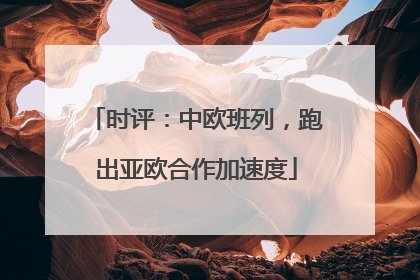 时评：中欧班列，跑出亚欧合作加速度