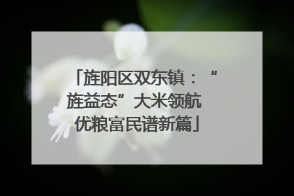 旌阳区双东镇：“旌益态”大米领航 优粮富民谱新篇