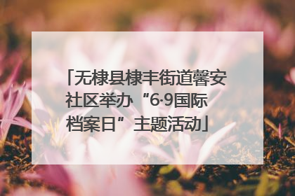无棣县棣丰街道馨安社区举办“6·9国际档案日”主题活动