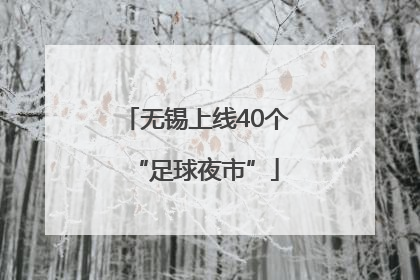 无锡上线40个“足球夜市”
