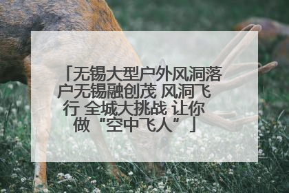 无锡大型户外风洞落户无锡融创茂 风洞飞行 全城大挑战 让你做“空中飞人”