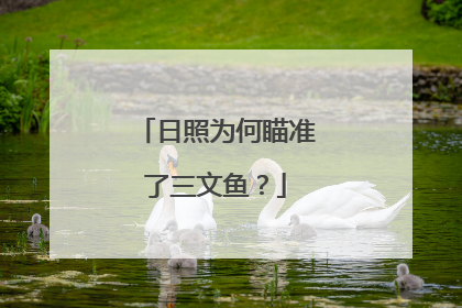 日照为何瞄准了三文鱼？