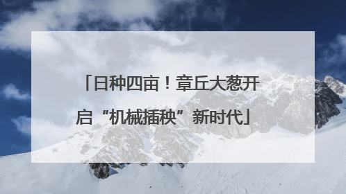 日种四亩！章丘大葱开启“机械插秧”新时代