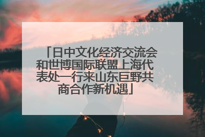 日中文化经济交流会和世博国际联盟上海代表处一行来山东巨野共商合作新机遇