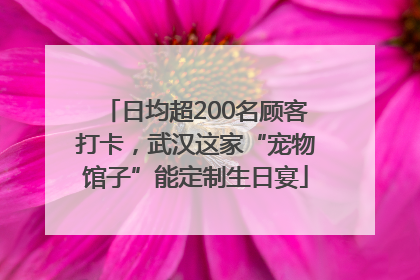 日均超200名顾客打卡，武汉这家“宠物馆子”能定制生日宴