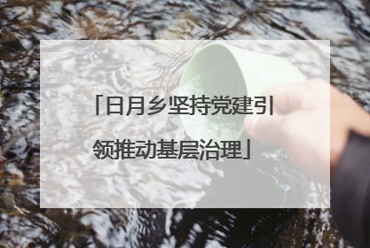 日月乡坚持党建引领推动基层治理
