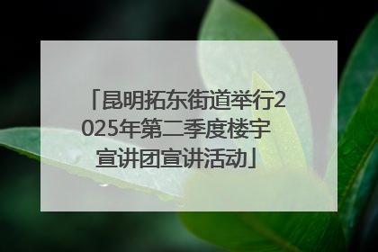 昆明拓东街道举行2025年第二季度楼宇宣讲团宣讲活动