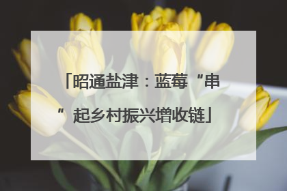 昭通盐津：蓝莓“串”起乡村振兴增收链
