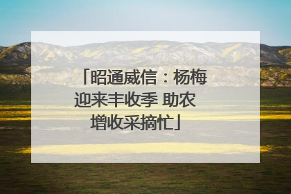 昭通威信：杨梅迎来丰收季 助农增收采摘忙