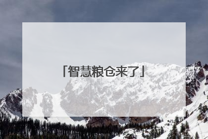 智慧粮仓来了