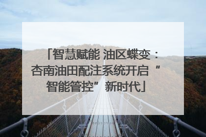 智慧赋能 油区蝶变：杏南油田配注系统开启“智能管控”新时代