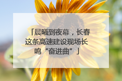 晨曦到夜幕，长春这条高速建设现场长鸣“奋进曲”