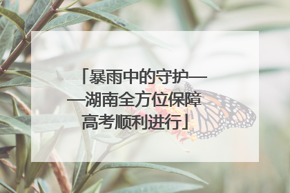 暴雨中的守护——湖南全方位保障高考顺利进行
