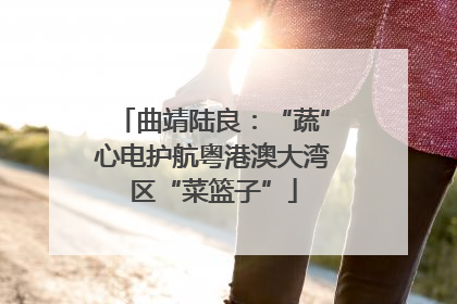 曲靖陆良：“蔬”心电护航粤港澳大湾区“菜篮子”
