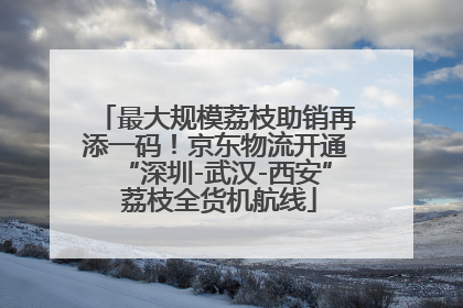 最大规模荔枝助销再添一码！京东物流开通“深圳-武汉-西安” 荔枝全货机航线