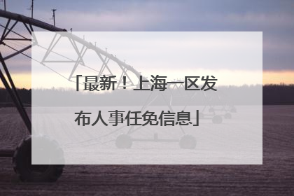 最新！上海一区发布人事任免信息