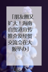 朋友圈又扩大！海南自贸港宣传推介及经贸交流会在大阪举办