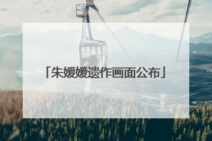 朱媛媛遗作画面公布