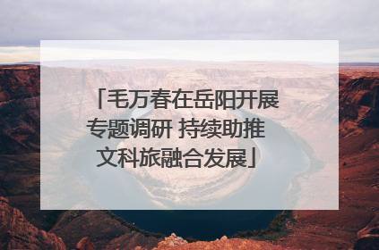 毛万春在岳阳开展专题调研 持续助推文科旅融合发展