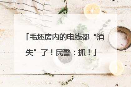 毛坯房内的电线都“消失”了！民警：抓！