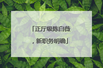 正厅级陈白薇，新职务明确