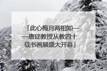 此心梅月两相知——唐建教授从教四十载书画展盛大开幕