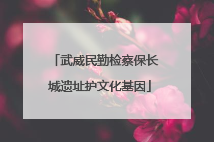 武威民勤检察保长城遗址护文化基因