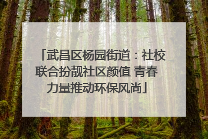 武昌区杨园街道：社校联合扮靓社区颜值 青春力量推动环保风尚