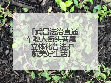 武昌法治直通车驶入街头巷尾 立体化普法护航美好生活