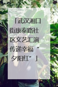 武汉湘口街康泰路社区文艺汇演传递幸福“夕阳红”