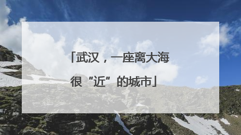 武汉，一座离大海很“近”的城市