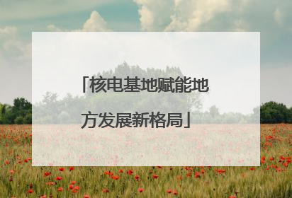 核电基地赋能地方发展新格局