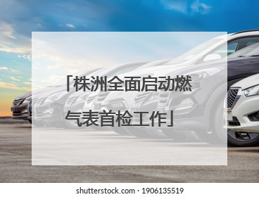 株洲全面启动燃气表首检工作