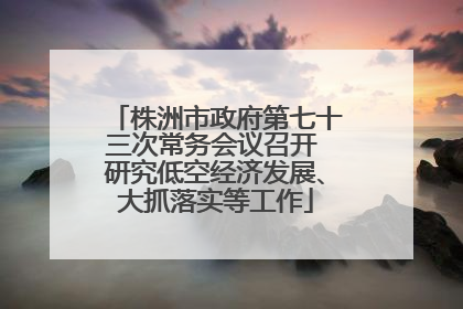 株洲市政府第七十三次常务会议召开 研究低空经济发展、大抓落实等工作