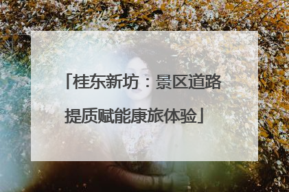 桂东新坊：景区道路提质赋能康旅体验