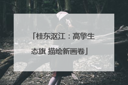 桂东沤江：高擎生态旗 描绘新画卷