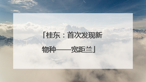 桂东：首次发现新物种——宽距兰