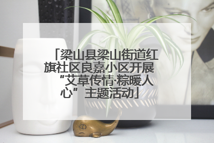梁山县梁山街道红旗社区良嘉小区开展“艾草传情·粽暖人心”主题活动