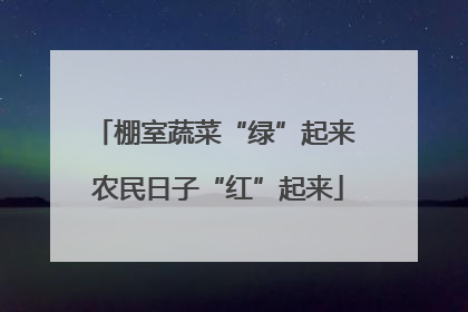 棚室蔬菜“绿”起来 农民日子“红”起来