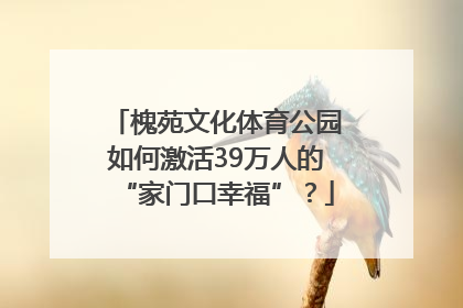 槐苑文化体育公园如何激活39万人的“家门口幸福”？